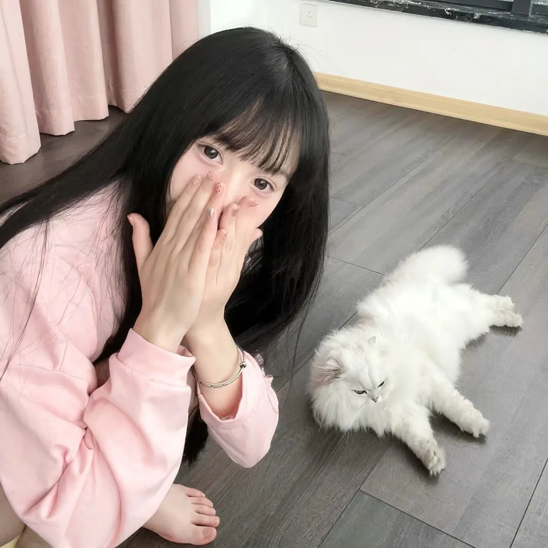 齐姆与友